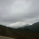 한국신경외과 이미지