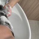 에이바헤어 지축역점
