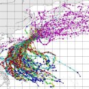 지난 70년간 우리나라 근방 태풍 경로 이미지