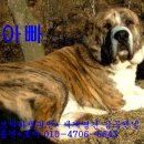 미들농장 이미지