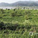 수변공원(1-4) 이미지