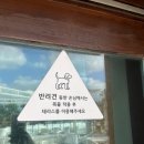 태안 오션뷰 카페 추천 만리포 애견동반 피노카페 내돈내산 후기