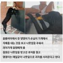 댕댕이꺼 Daum카페