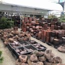 평안꽃식물원 이미지