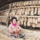 강진된장 영농조합법인 이미지