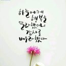 (주)바른먹거리