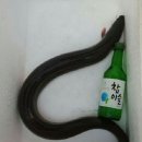 문화카센타 이미지