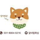 네일 달