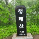 횡성 읍사무소 이미지