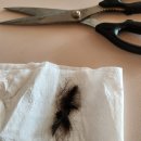 쌍둥이임신 34주 경산모 입원일기 : 조산기 장기입원 5주차 / 이란성쌍둥이임신후기. 막달증상.막달검사