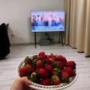 스테이리라 이미지