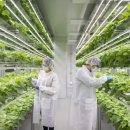 그린바이오앱 이미지