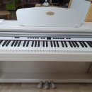 한천초교 병설유치원 이미지