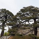 한국소나무집 이미지