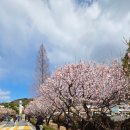 와룡축산물