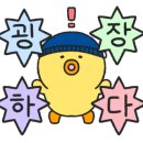 화순갈매기
