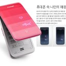 표시노리