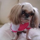 안산약수터 이미지