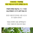 따봉스마켓 | 장택 복숭아 마지막 특가 판매❤️