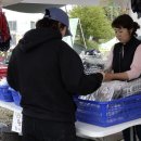 청보리축제장 이미지