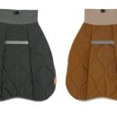 라지독스 이미지