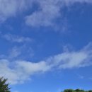 사평대로57길 130 이미지