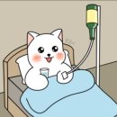 화남 네이버블로그