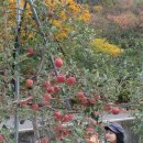 흙집:산과산사이 | 인적없는 깊은산골자기 편한황토흙집 절간같은펜션 경북문경 마석면에 산과산사이 펜션후기!