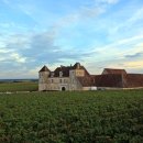 황금언덕 이미지