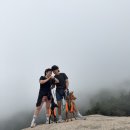 루체른 | 켄싱턴리조트 설악밸리 루체른 팻객실 솔직 후기 (+산책코스 추천)