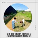 스마일어린이수영장 | 청주 어린이 체험 꼬물꼬물 낚시캠프 체험농장 방문 후기