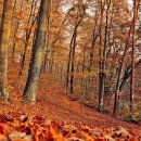 광주스마일행정사사무소 이미지