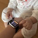 크로스핏 도마 | 8월이 가기 전에 겨우 7월 일상