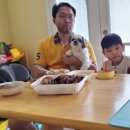 야보아스 이미지