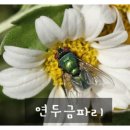 인화농장 이미지