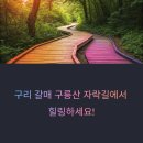 갈매여가녹지공원 무장애나눔길 조성 네이버블로그