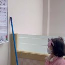 예원초등학교 이미지