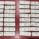 구성초교병설유치원 이미지