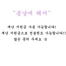 봄날애헤어 네이버블로그