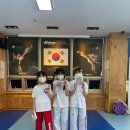 신영태비태권도 이미지