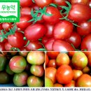 성원농장2 이미지