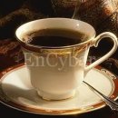 남남무도장 이미지