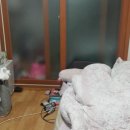 월드정수기마트 이미지