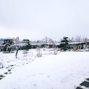 목화 - 영도구 | 목화