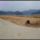 반곡목장 이미지