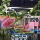 정글팡팡 : 안산키즈카페 대형키카 정글팡팡 + 평일 무제한이용 / 주말 2시간 +나갈땐 풍선 선물