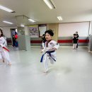 서진태권도 이미지