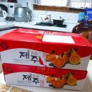 봉그레 | <봉그레jeju> 제주 한라봉 천혜향 제주도 서귀포시 성산 애월읍 한라봉 천혜향 선물세트 추천