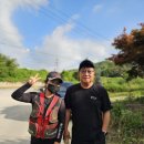 일격프로피싱