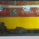 장위동맹가네